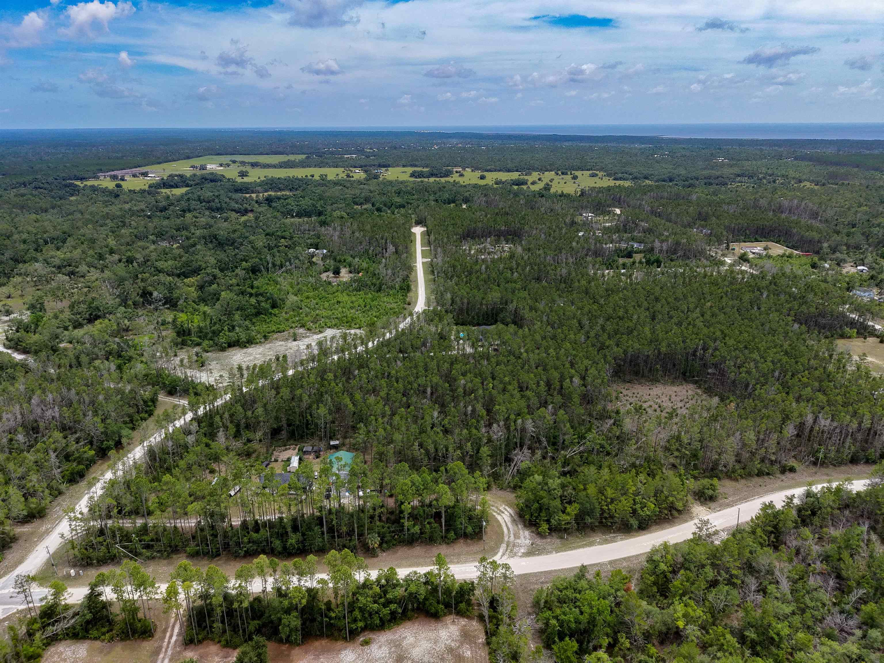 Tbd Ocean Pond Road Perry, FL 32348 - Photo 13 of 21