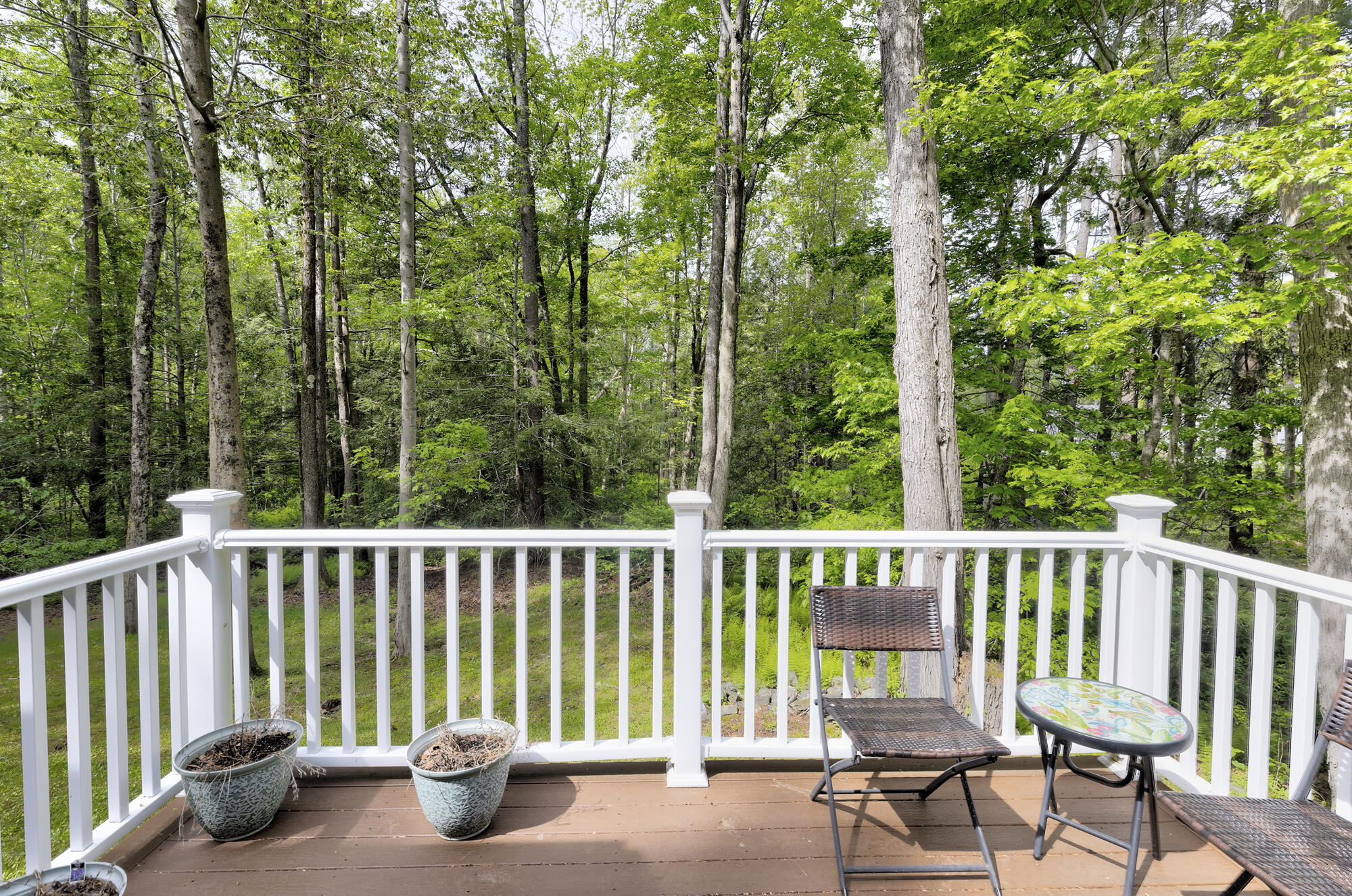 87 Ocean House Road Cape Elizabeth, ME 04107 - Photo 35 of 43 87 Ocean House_W5_41