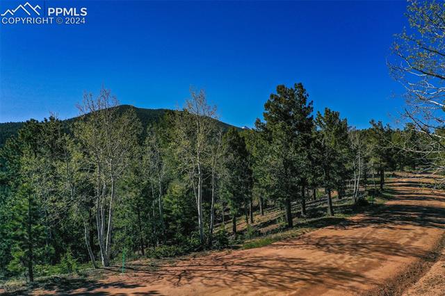 1100 Elk Ridge South Divide, CO 80814 - Photo 15 of 34