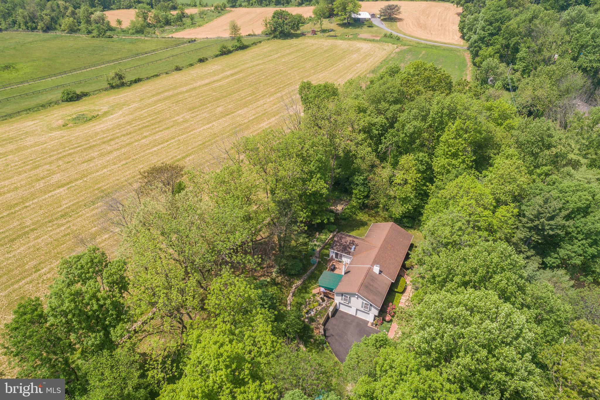 145 Creamery Road Elverson, PA 19520 - Photo 5 of 56 Field views to the south