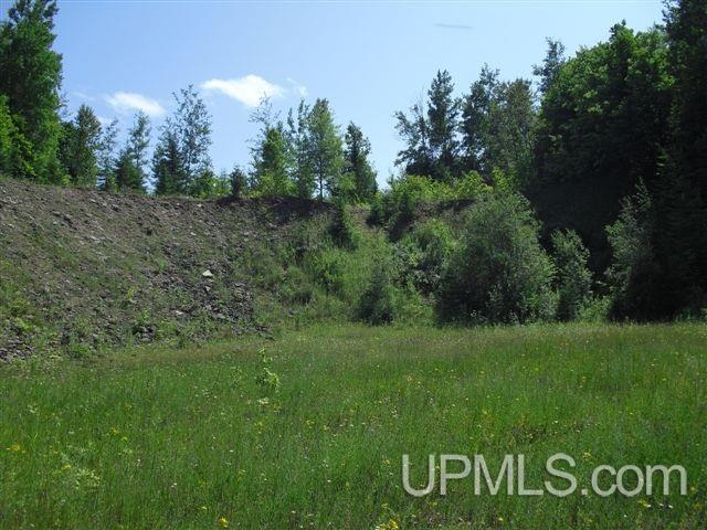 Tbd Tbd Co Road Chatham, MI 49816 - Photo 2 of 5