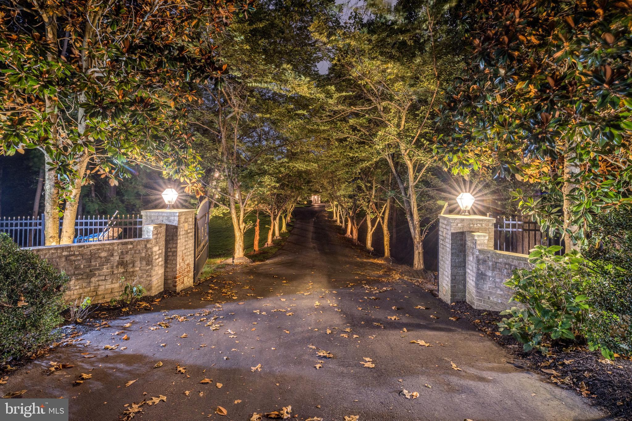1139 Towlston Road McLean, VA 22102 - Photo 4 of 56 Exquisite Estate Entrance