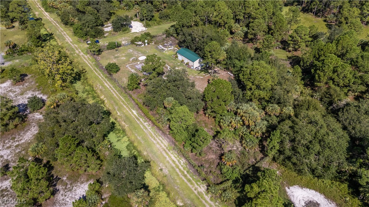 175 South Romero Street Clewiston, FL 33440 - Photo 11 of 19 a view of a tree