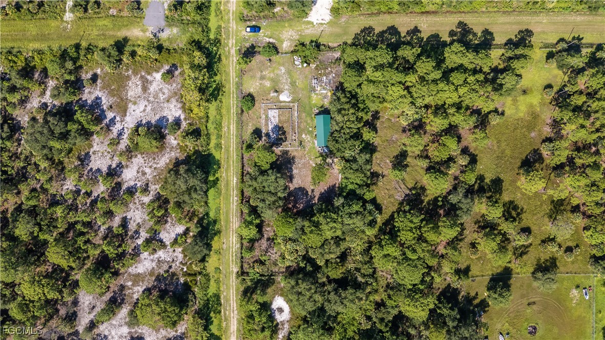 175 South Romero Street Clewiston, FL 33440 - Photo 12 of 19 a view of a garden with plants