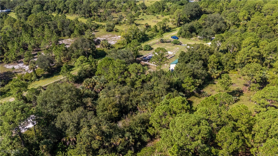 175 South Romero Street Clewiston, FL 33440 - Photo 13 of 19 a view of a house with a lush green forest