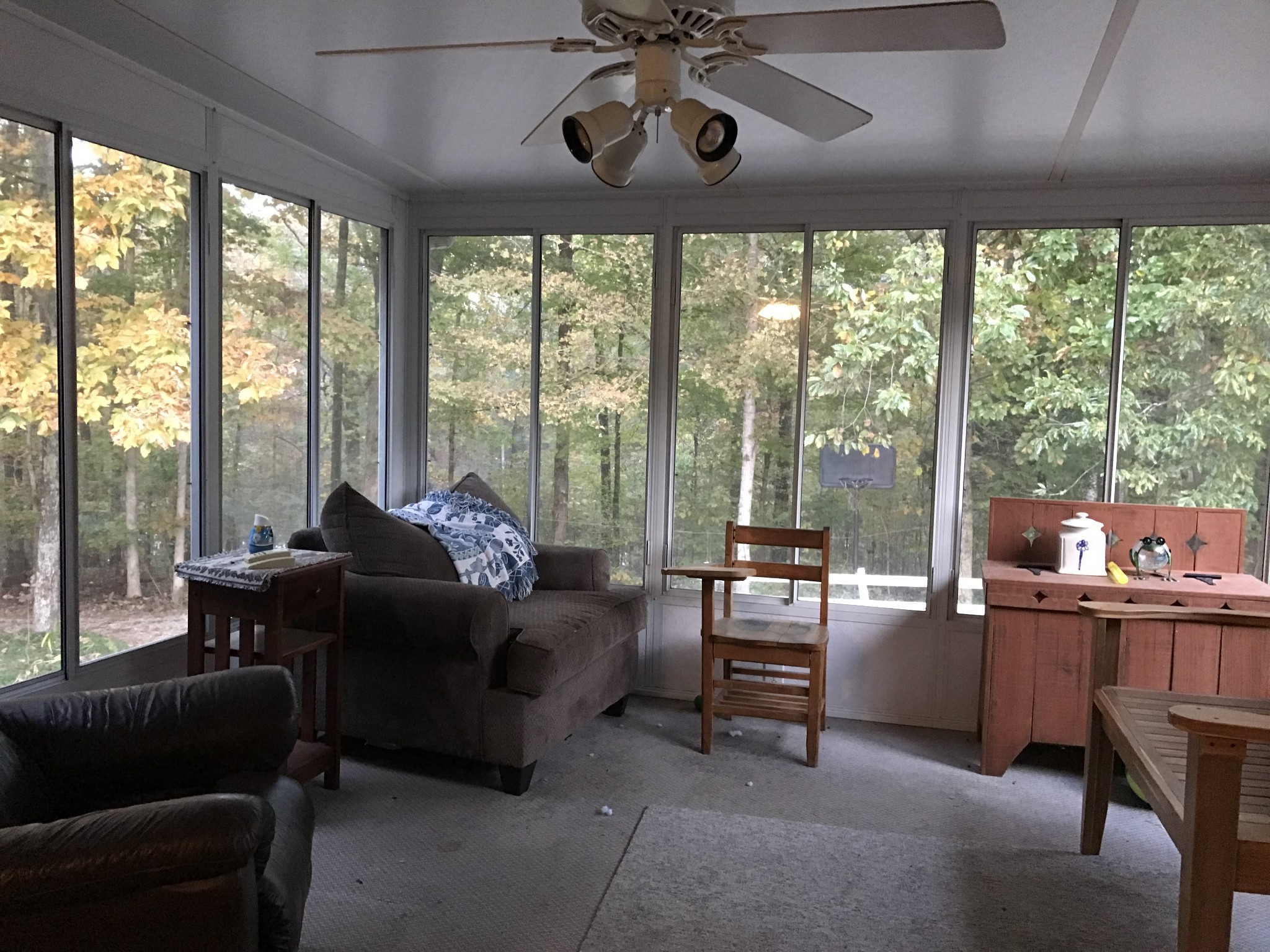 Gallery Image 7
