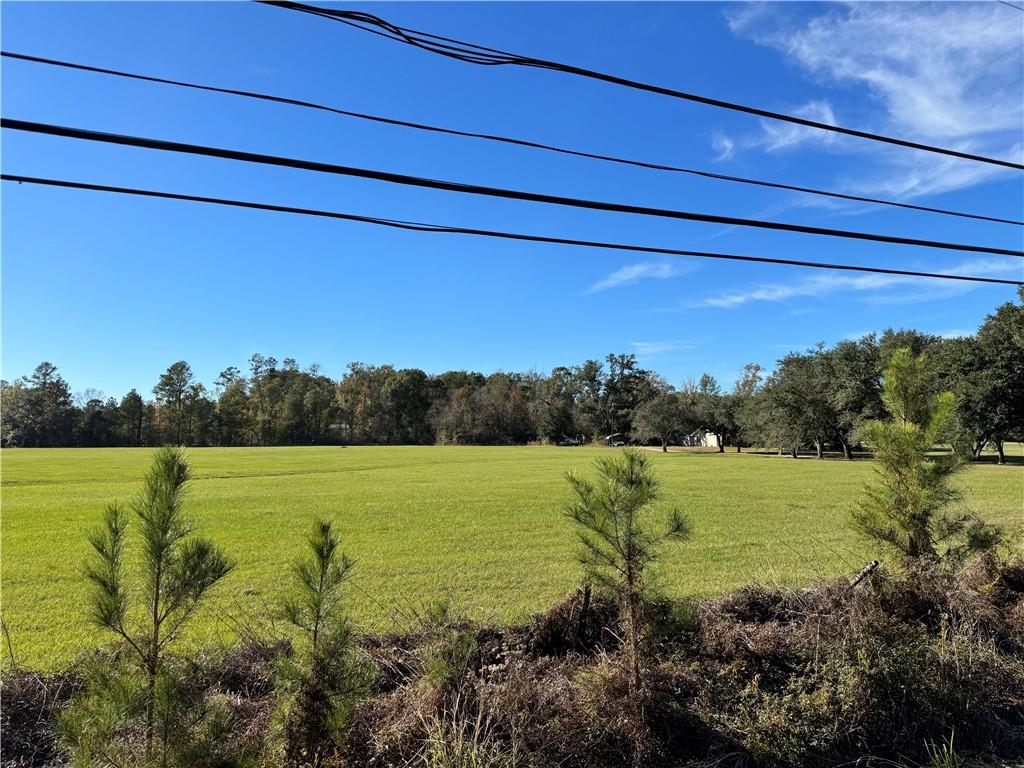 1 B Highway Springfield, LA 70462 - Photo 11 of 13