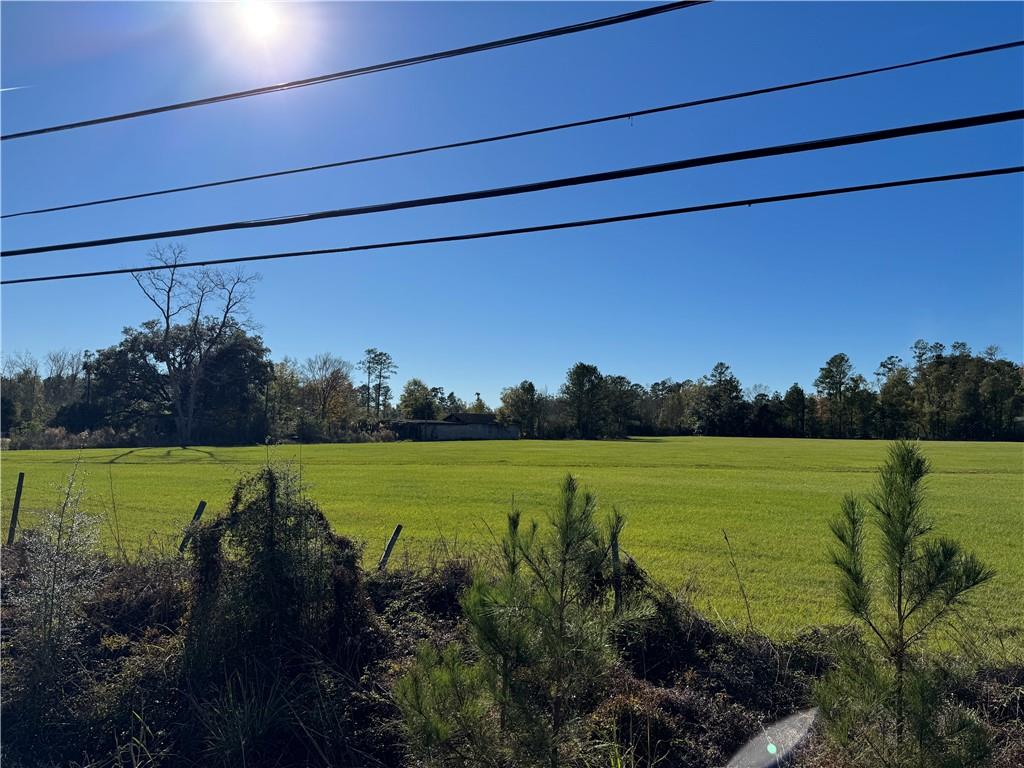 1 B Highway Springfield, LA 70462 - Photo 12 of 13