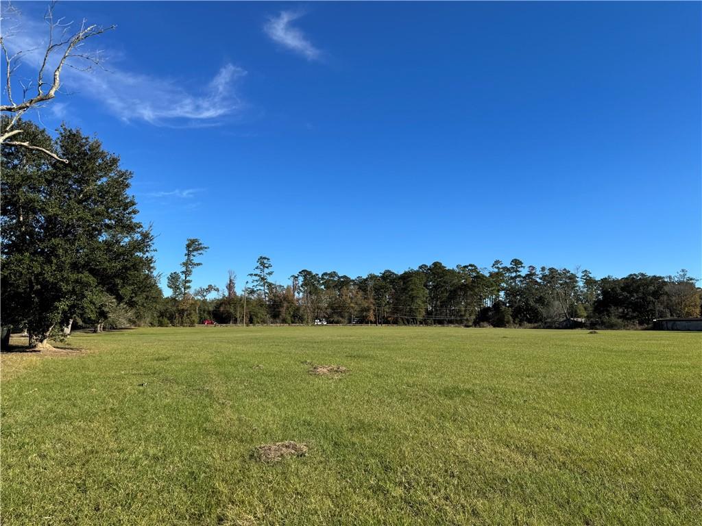 1 B Highway Springfield, LA 70462 - Photo 4 of 13