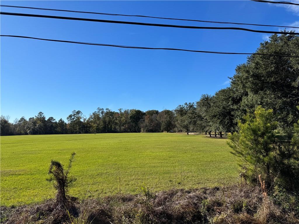 1 B Highway Springfield, LA 70462 - Photo 8 of 13