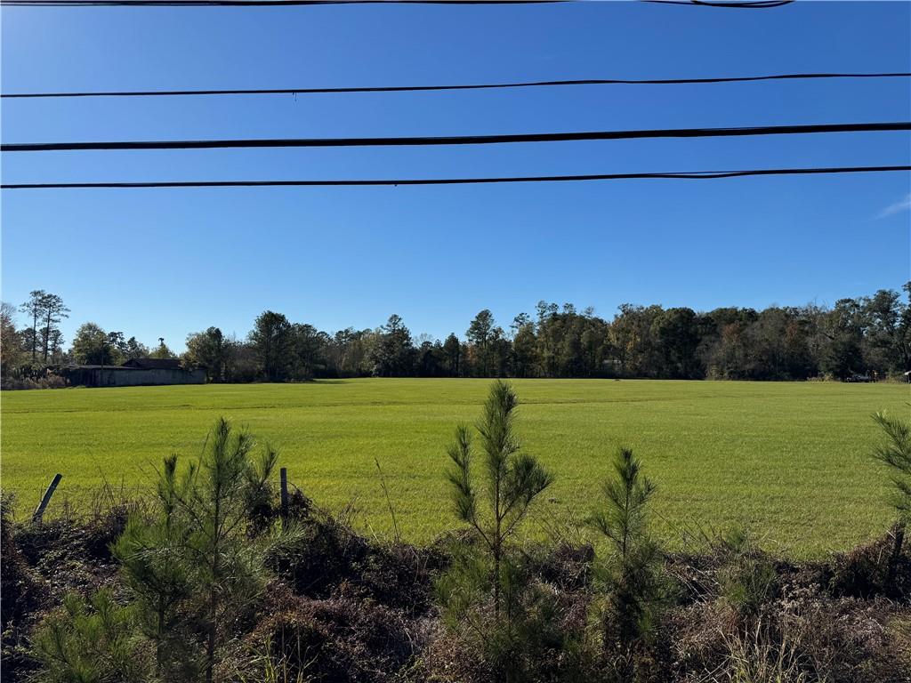 1 B Highway Springfield, LA 70462 - Photo 10 of 13