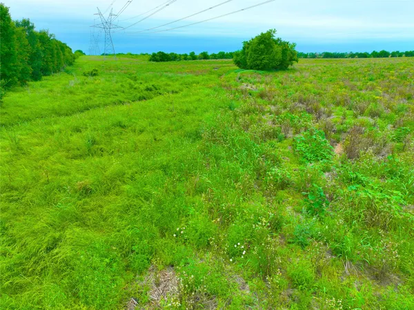 a view of a lush green space