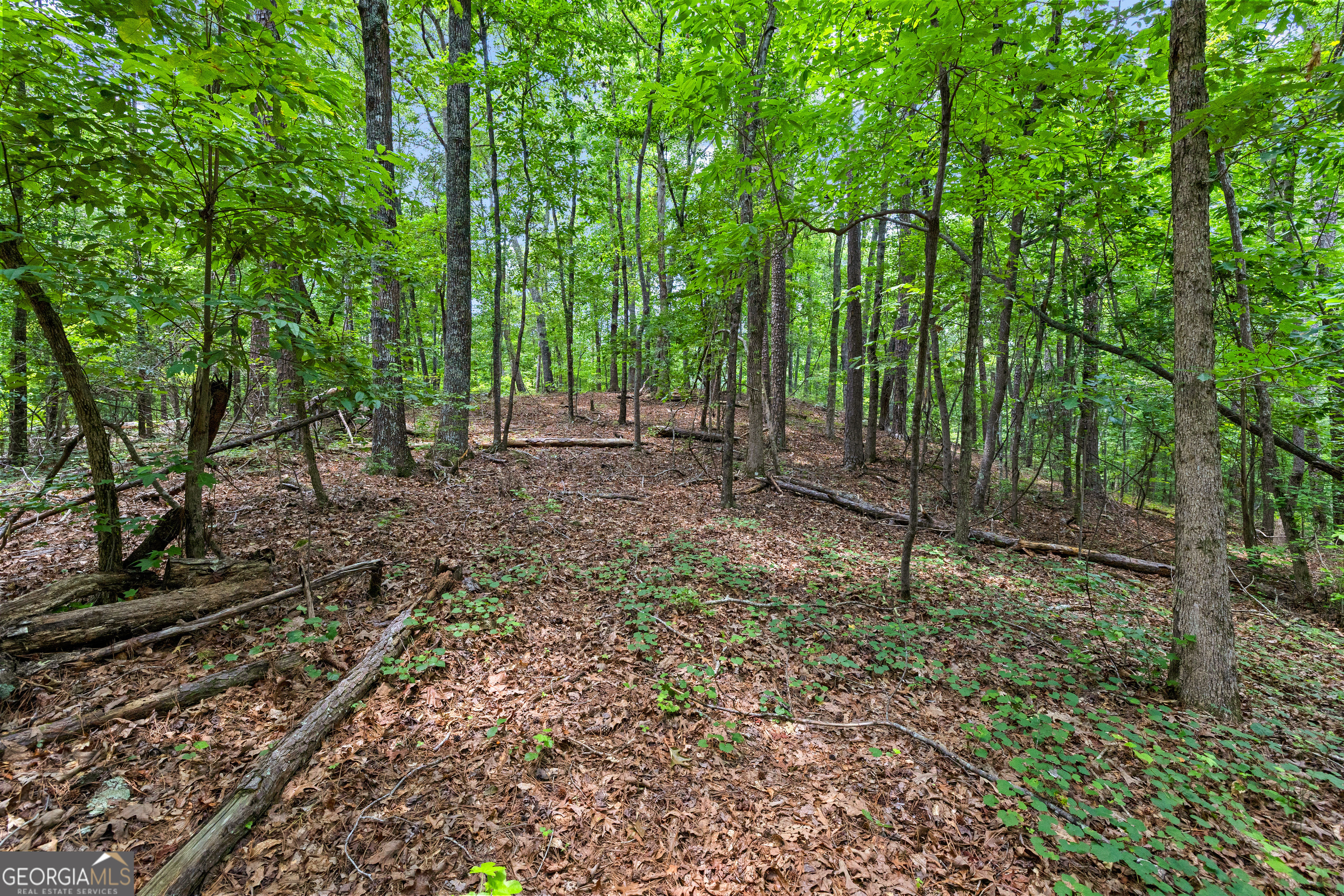 0 Terry Road Fairburn, GA 30213 - Photo 7 of 22