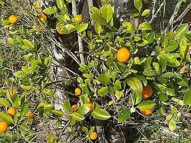 a view of a swimming pool