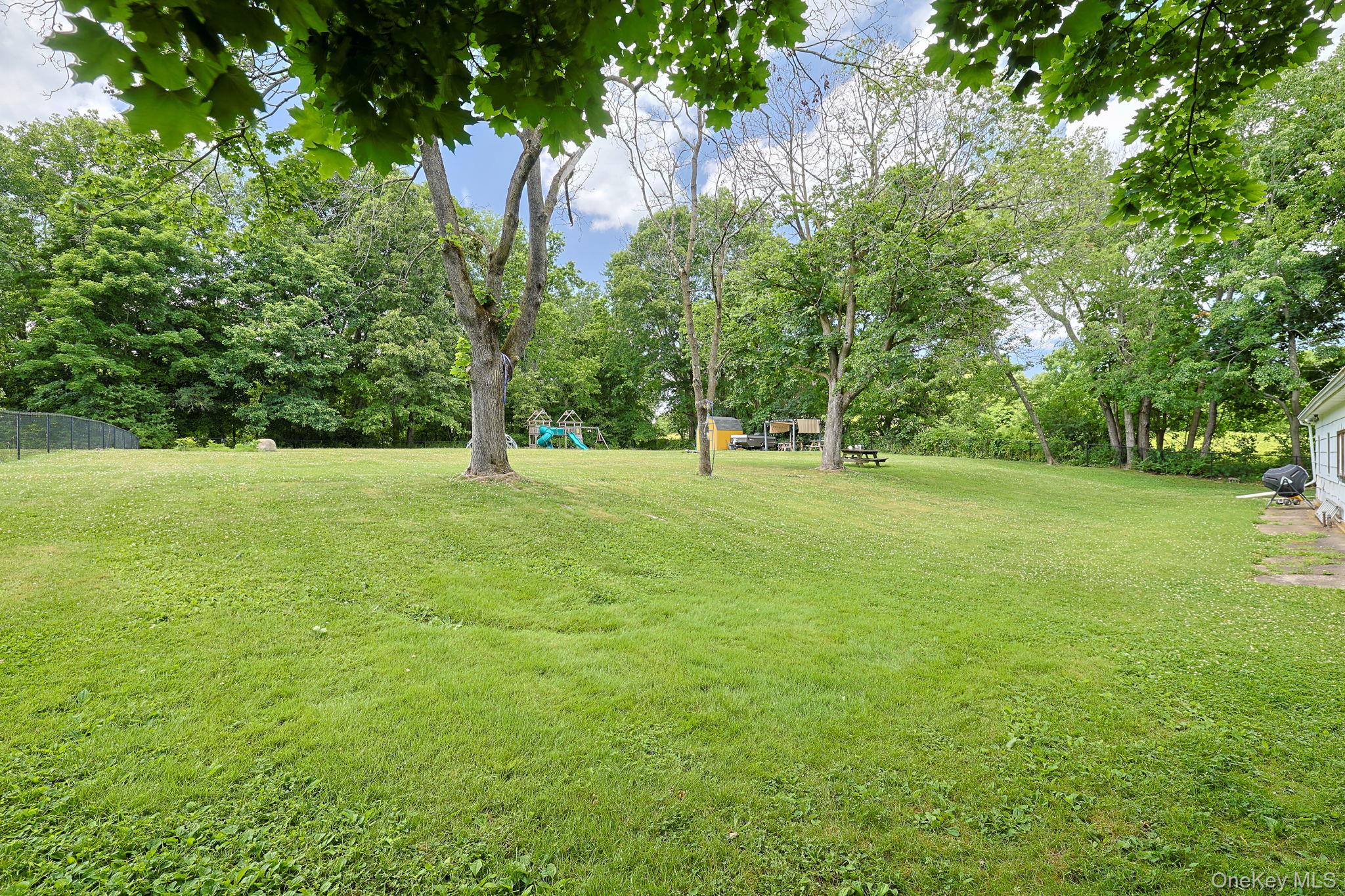 178 Mt Airy Road New Windsor, NY 12553 - Photo 26 of 31 a view of a trees with a big yard