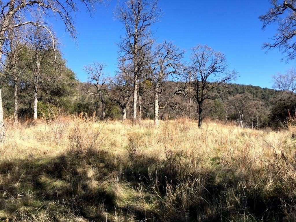 0 Piute Rd Fork North Fork, CA 93643 - Photo 12 of 12 Gallery Image 12