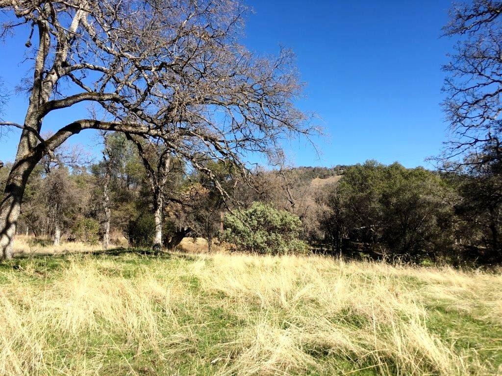 0 Piute Rd Fork North Fork, CA 93643 - Photo 3 of 12 Gallery Image 3
