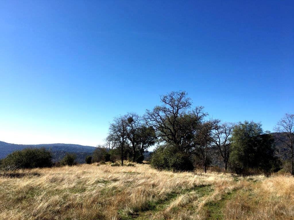 0 Piute Rd Fork North Fork, CA 93643 - Photo 4 of 12 Gallery Image 4