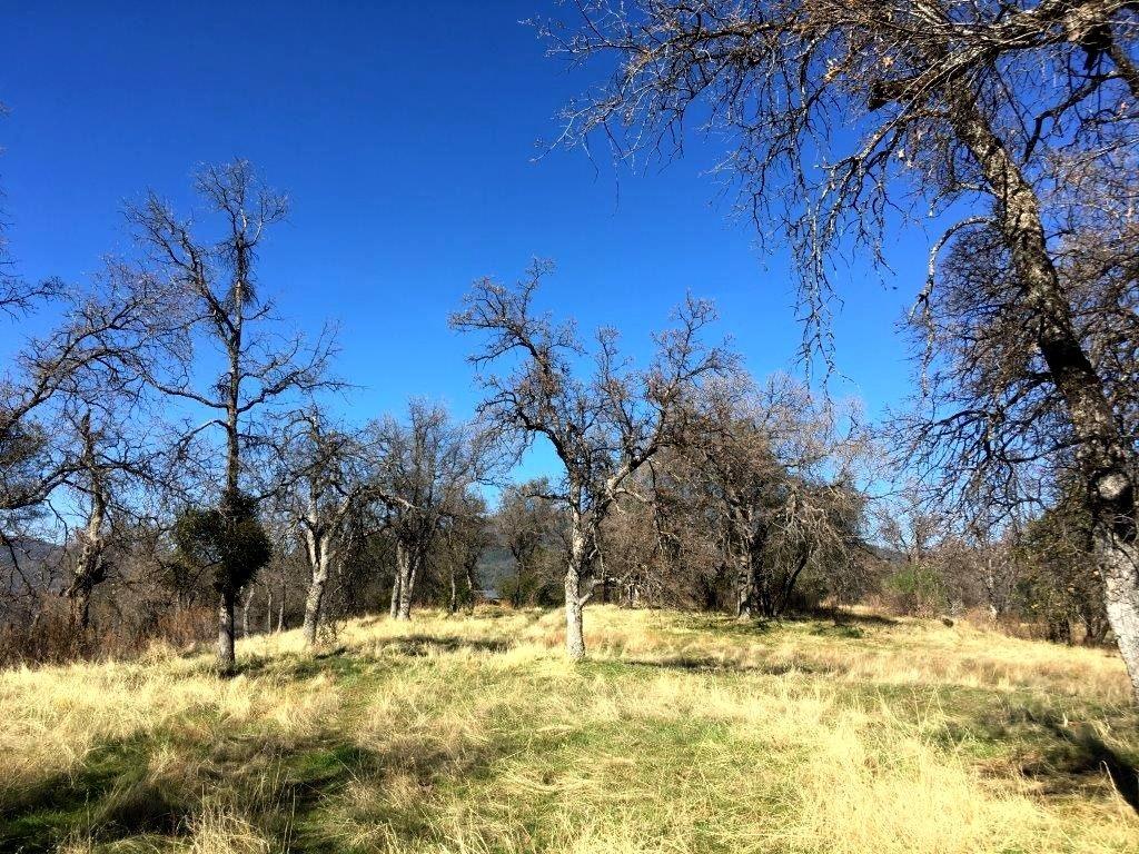 0 Piute Rd Fork North Fork, CA 93643 - Photo 6 of 12 Gallery Image 6