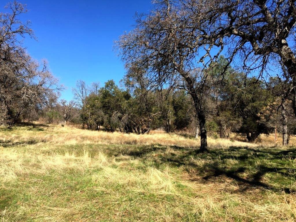 0 Piute Rd Fork North Fork, CA 93643 - Photo 10 of 12 Gallery Image 10