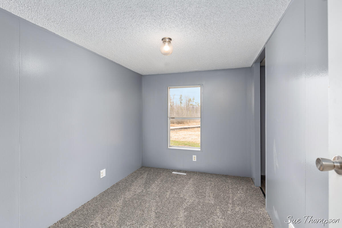3216 Lakeside Drive Stanton, MI 48888 - Photo 15 of 25 3216-Lakeside_015