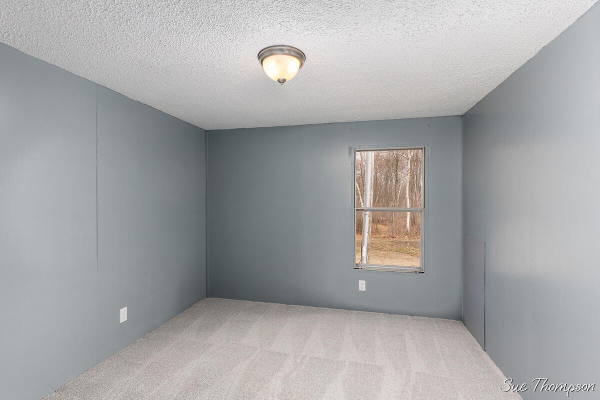 3216 Lakeside Drive Stanton, MI 48888 - Photo 16 of 25 3216-Lakeside_016