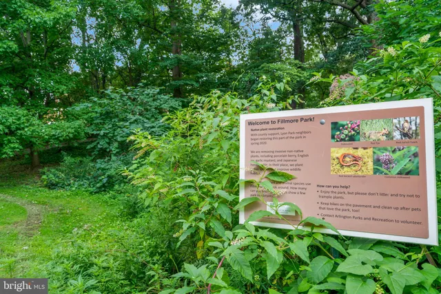 a view of a back yard from a garden