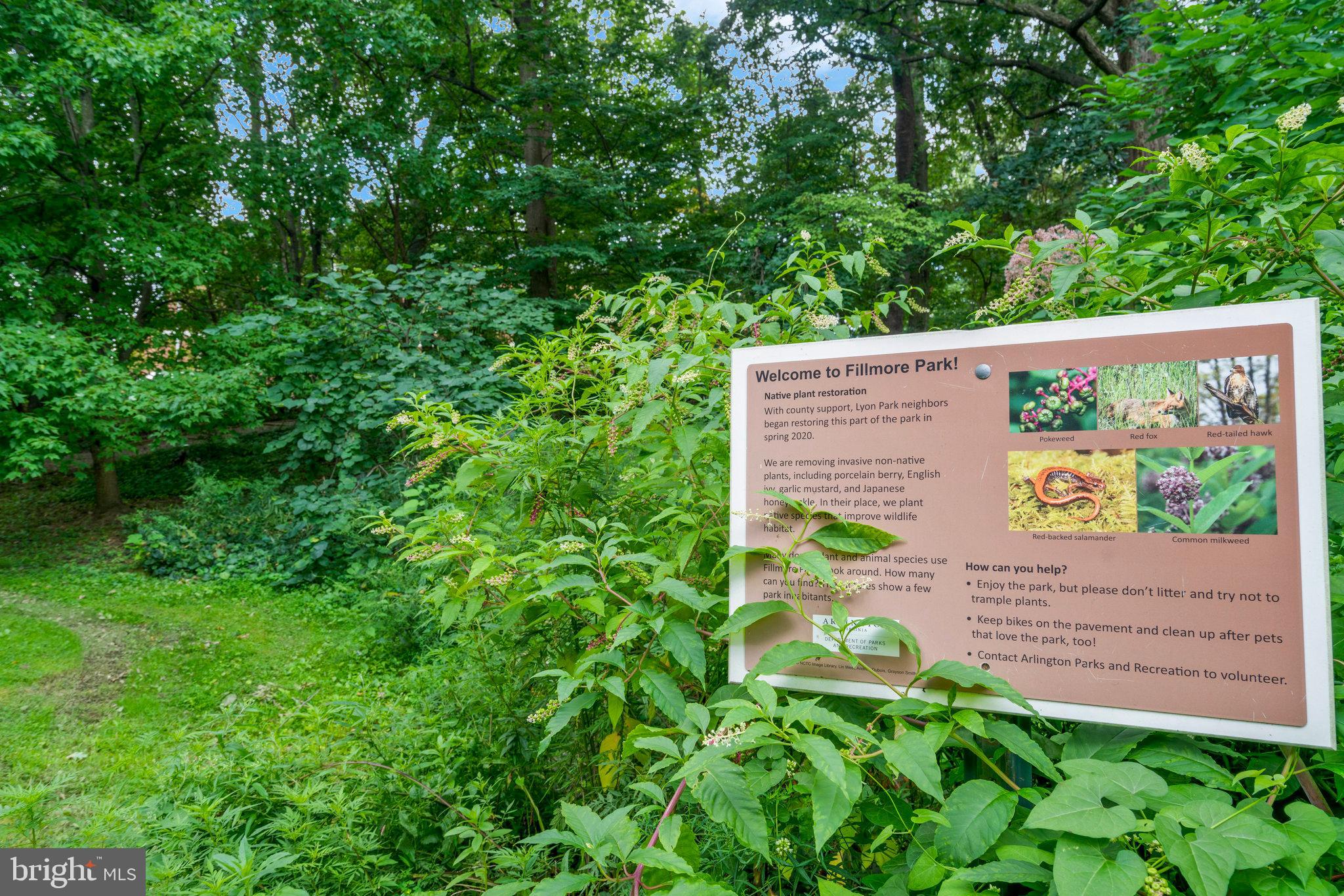 2505 Arlington Boulevard, Unit 102 Arlington, VA 22201 - Photo 24 of 26 a view of a back yard from a garden