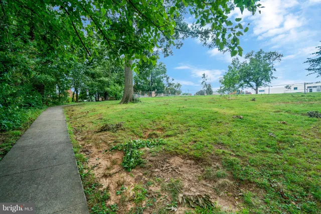 a view of a big yard with large trees