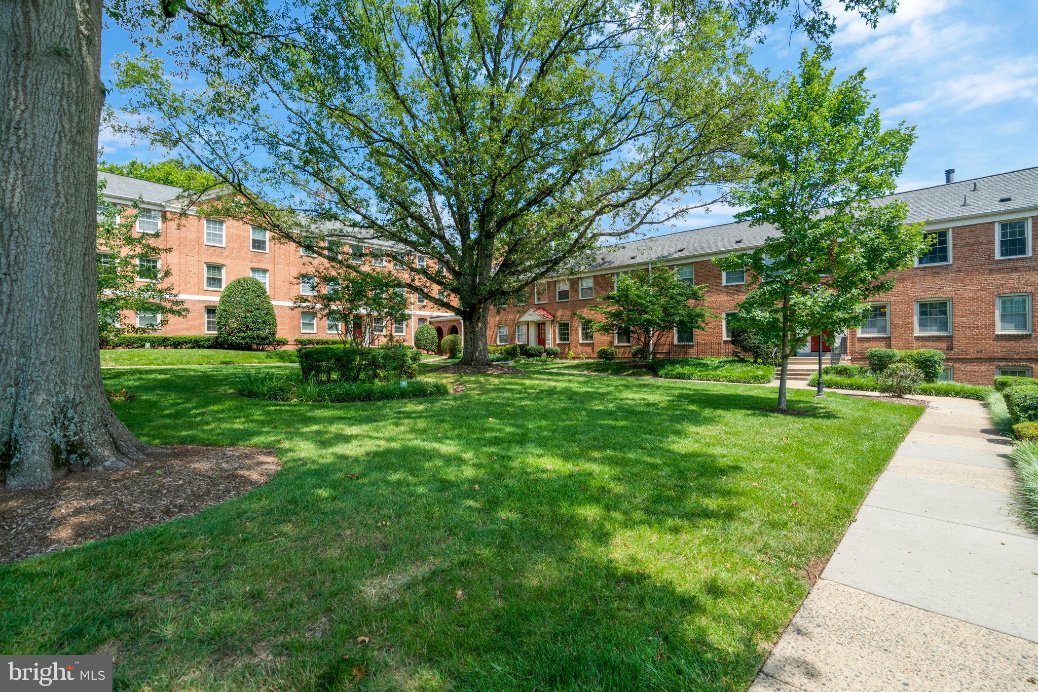 2505 Arlington Boulevard, Unit 102 Arlington, VA 22201 - Photo 3 of 26 a view of a park with large trees