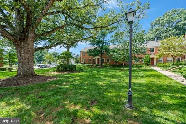 a view of a backyard with large trees