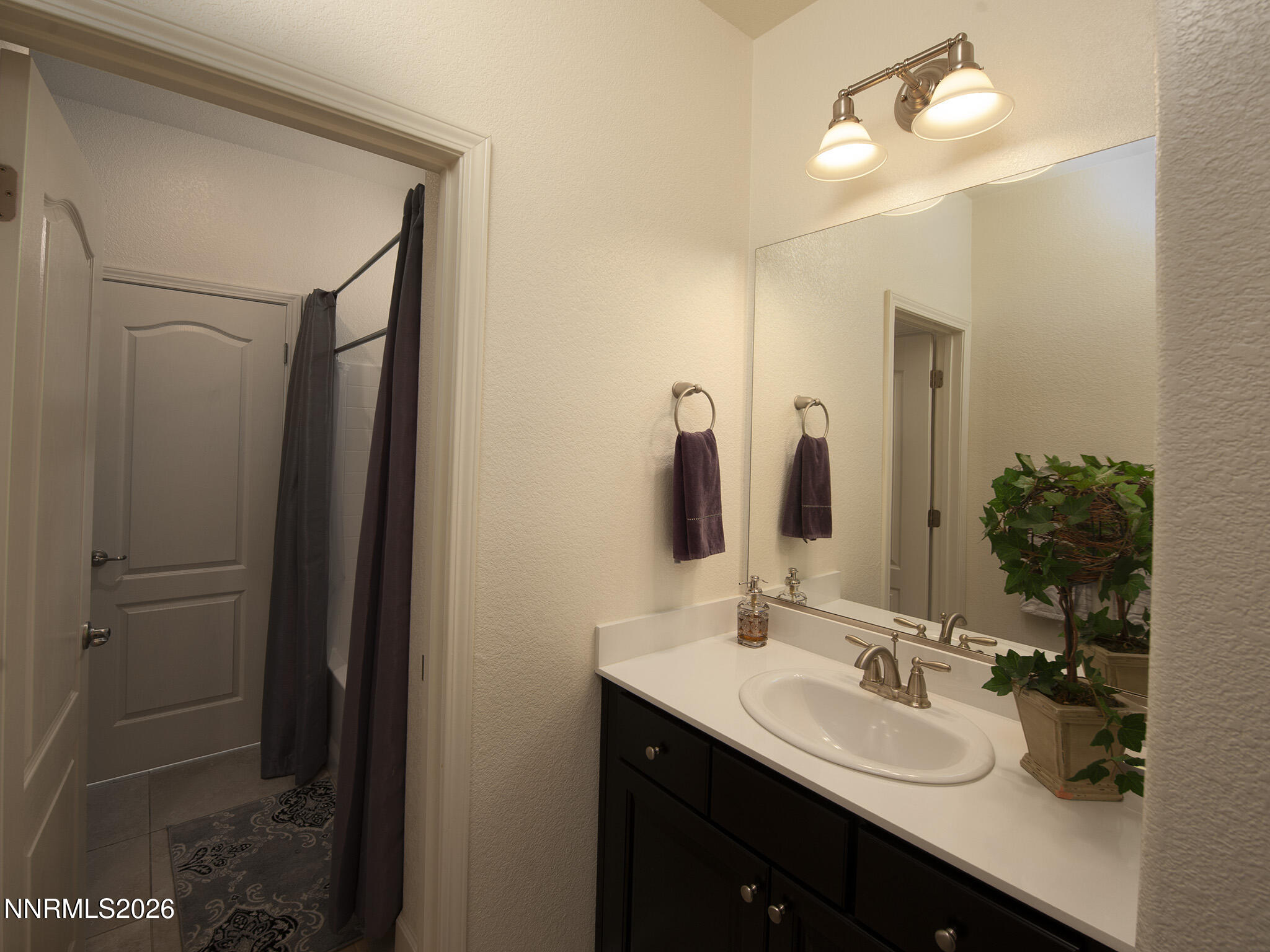 9766 Pachuca Drive Reno, NV 89521 - Photo 40 of 59 a bathroom with a double vanity sink a mirror and a shower
