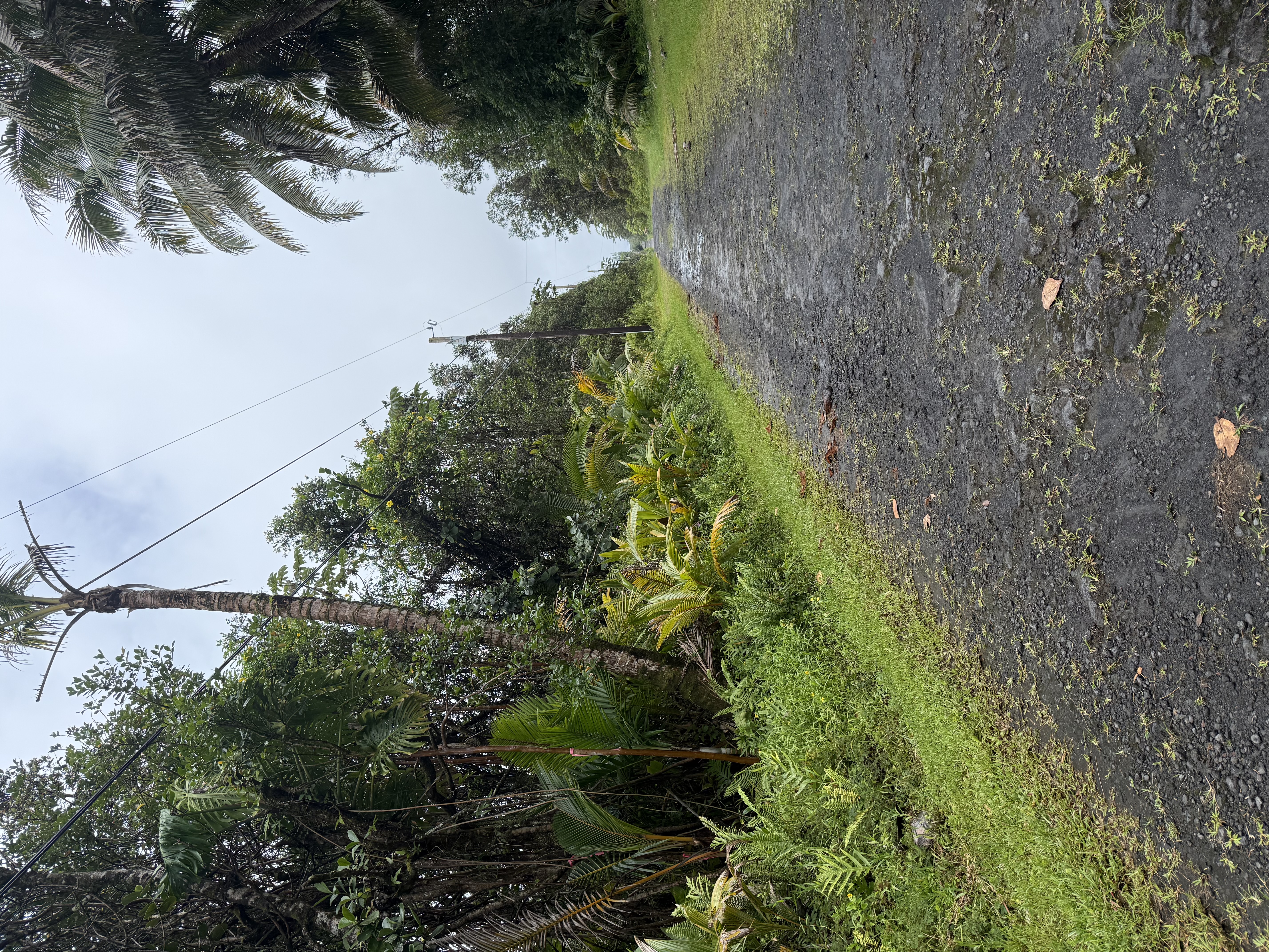 57 Seaview Road Pahoa, HI 96778 - Photo 4 of 6