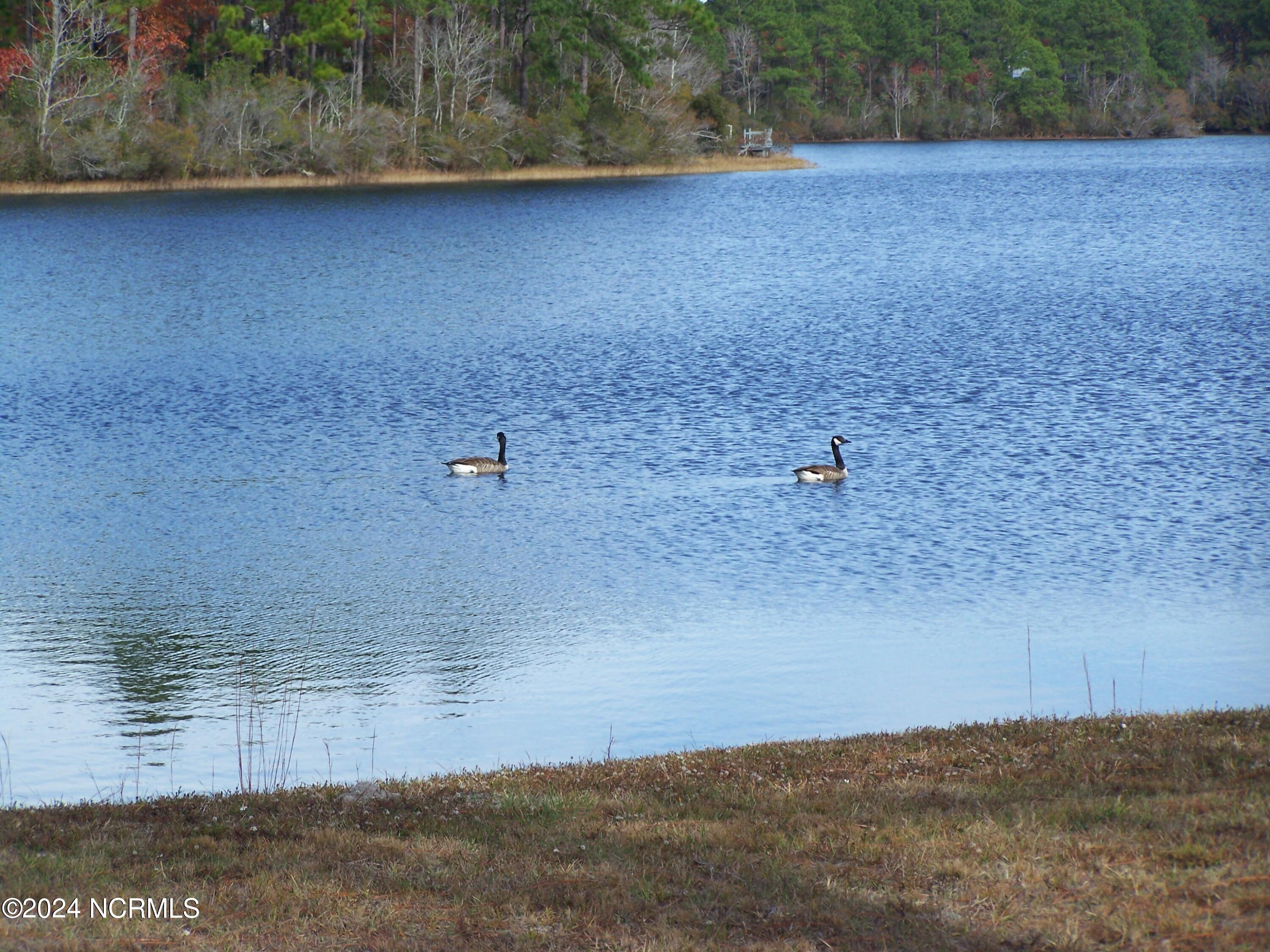 36 North Lake Drive Boiling Spring Lakes, NC 28461 - Photo 50 of 55 SPRING LAKE