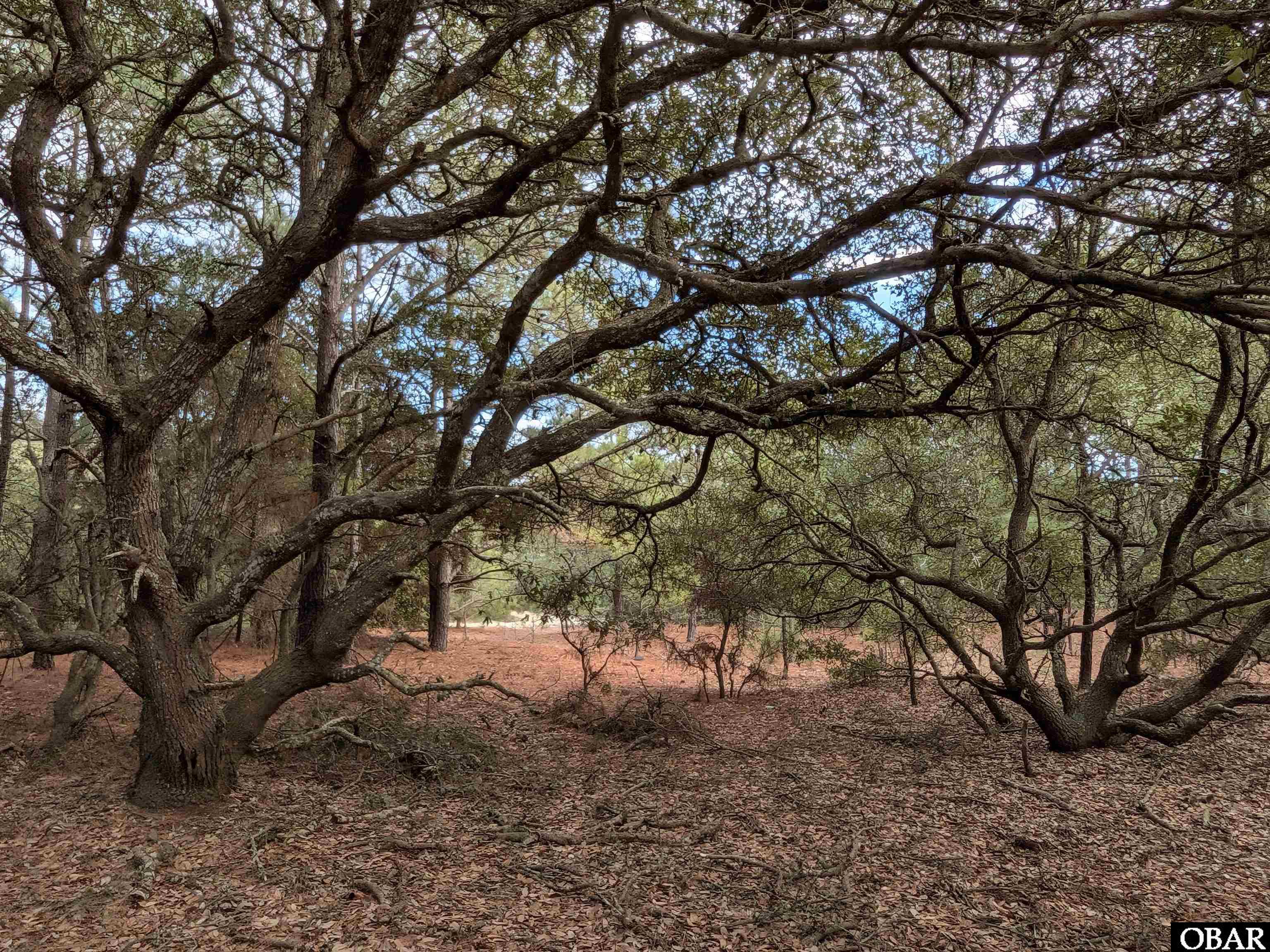 2226 Sailfish Road, Unit 45 Corolla, NC 27927 - Photo 3 of 10