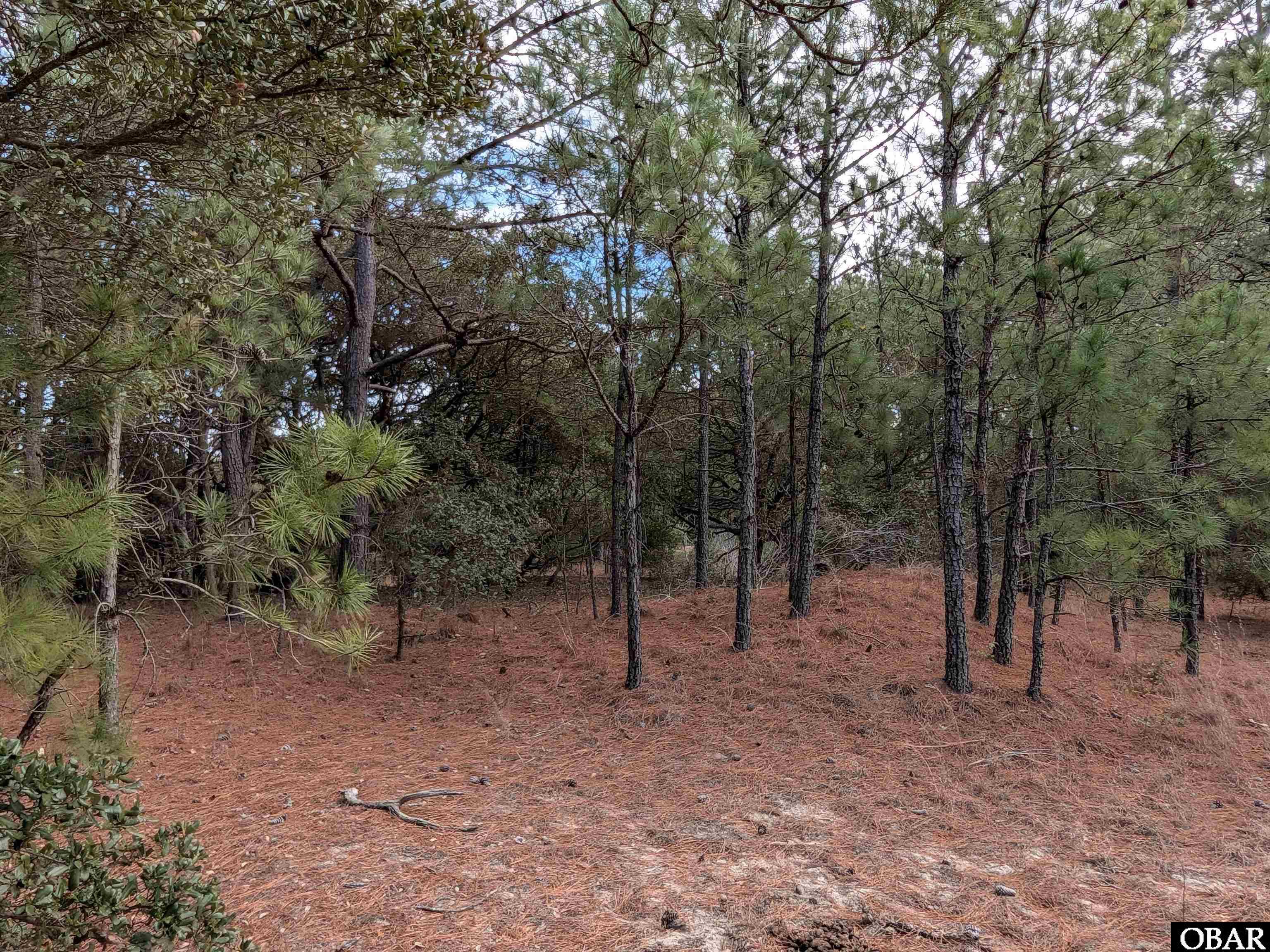 2226 Sailfish Road, Unit 45 Corolla, NC 27927 - Photo 4 of 10