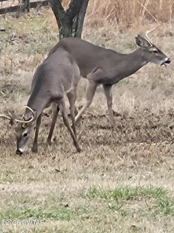 $319,900 | 376 B And G Lane, Huntingdon, TN 38344