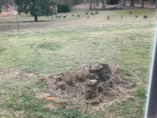 $319,900 | 376 B And G Lane, Huntingdon, TN 38344