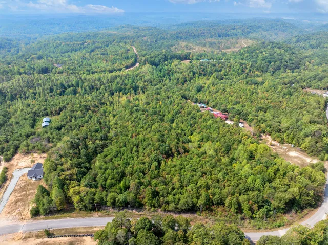 a view of a green field with lots of bushes