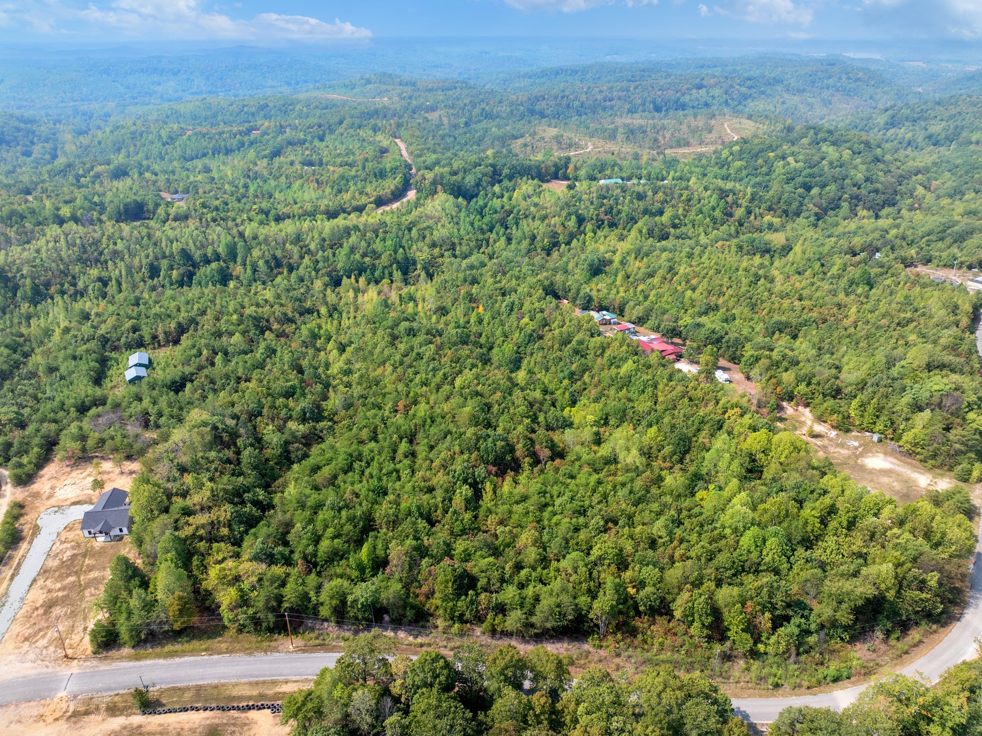 0 New Era Ridge Road Linden, TN 37096 - Photo 11 of 20 a view of a green field with lots of bushes