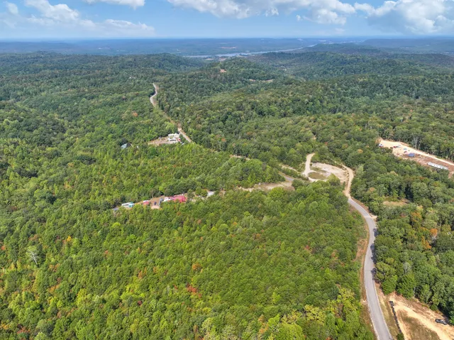 a view of a field with an ocean