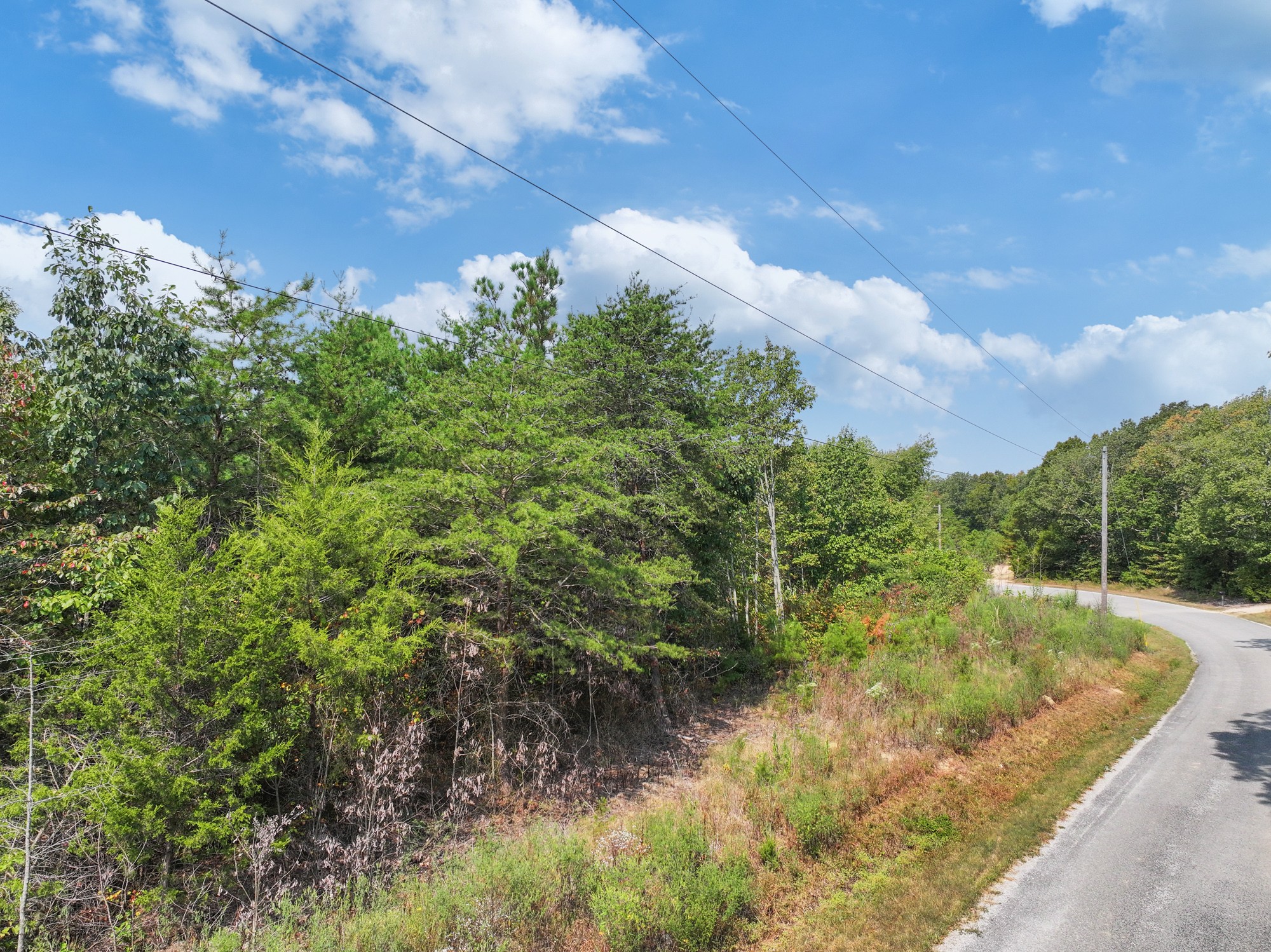 0 New Era Ridge Road Linden, TN 37096 - Photo 15 of 20 a backyard of a house with lots of green space