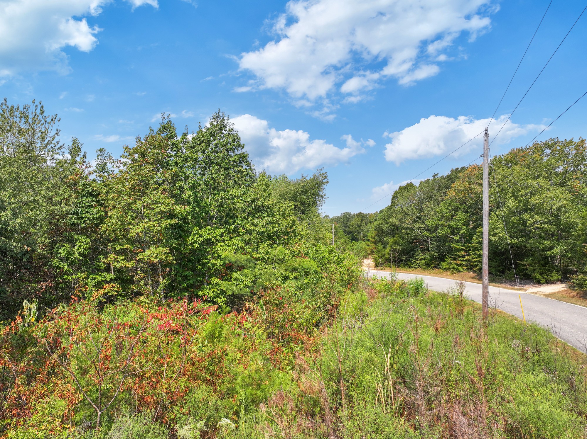 0 New Era Ridge Road Linden, TN 37096 - Photo 16 of 20 a view of a yard with flower plants and tree in the background