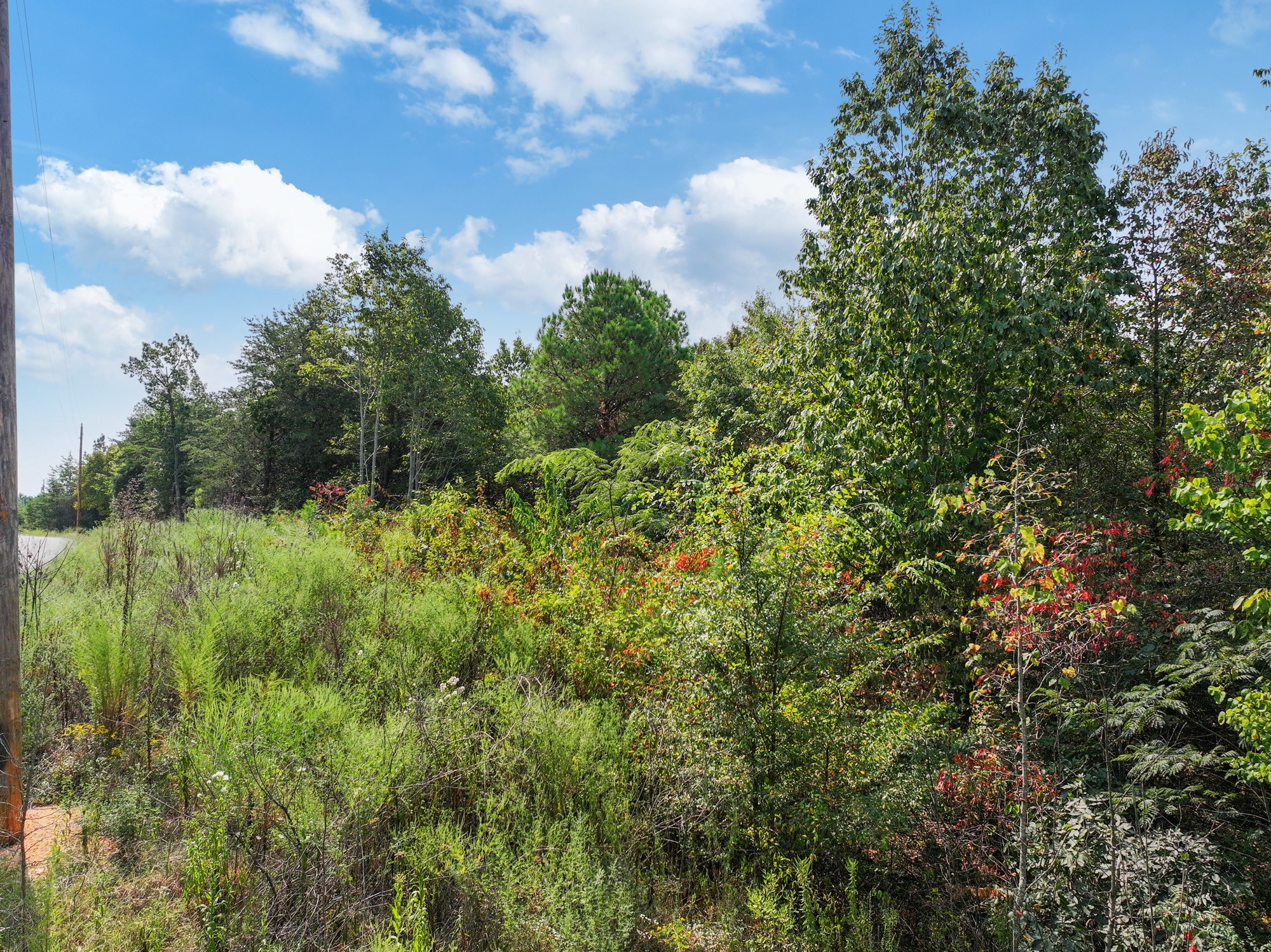 0 New Era Ridge Road Linden, TN 37096 - Photo 17 of 20 a view of a garden