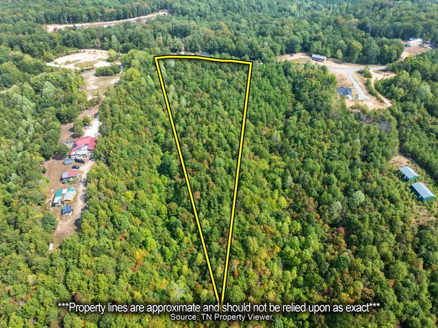 a view of a bunch of plants