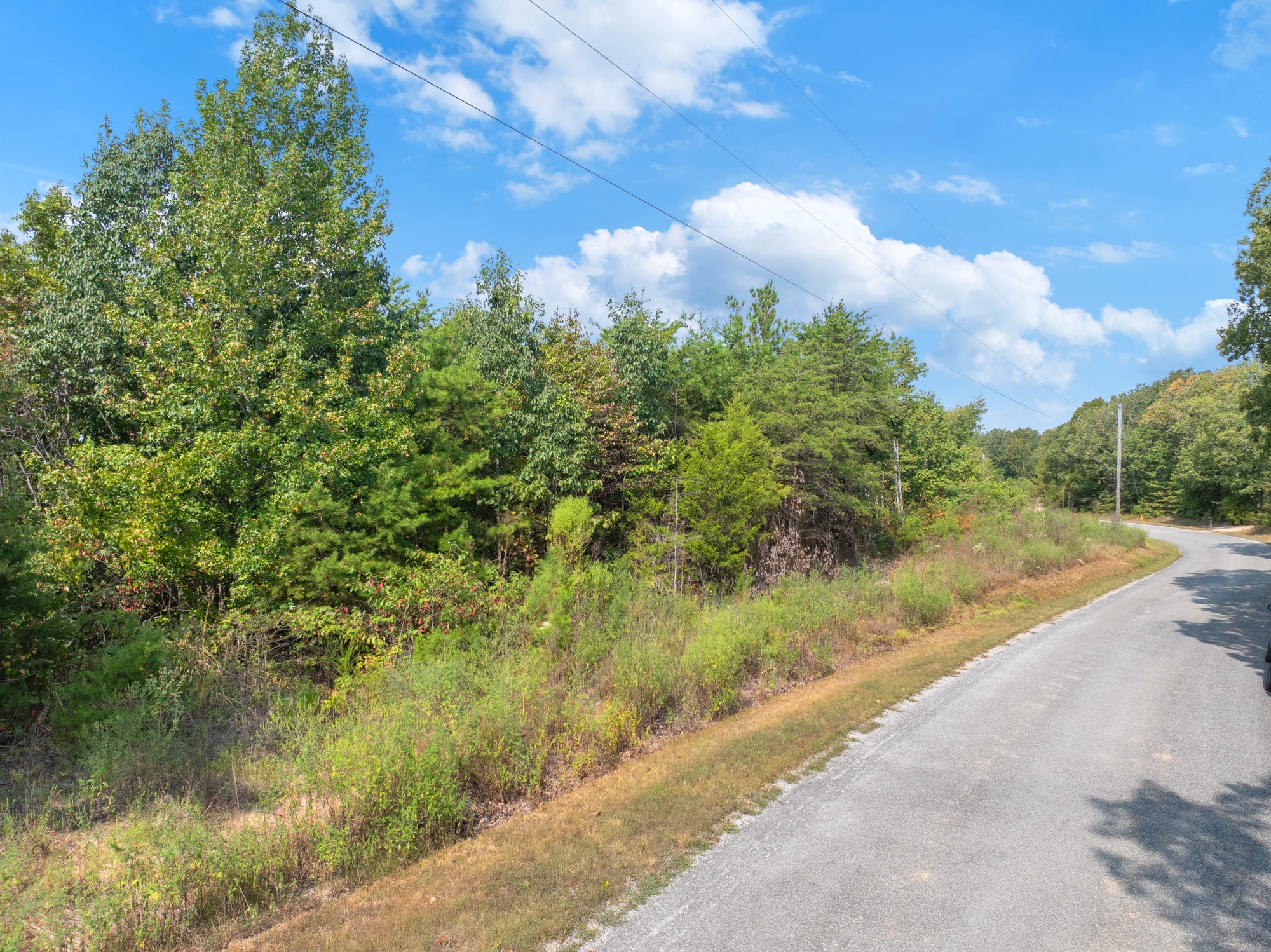 0 New Era Ridge Road Linden, TN 37096 - Photo 2 of 20 a view of a garden with plants and a large tree