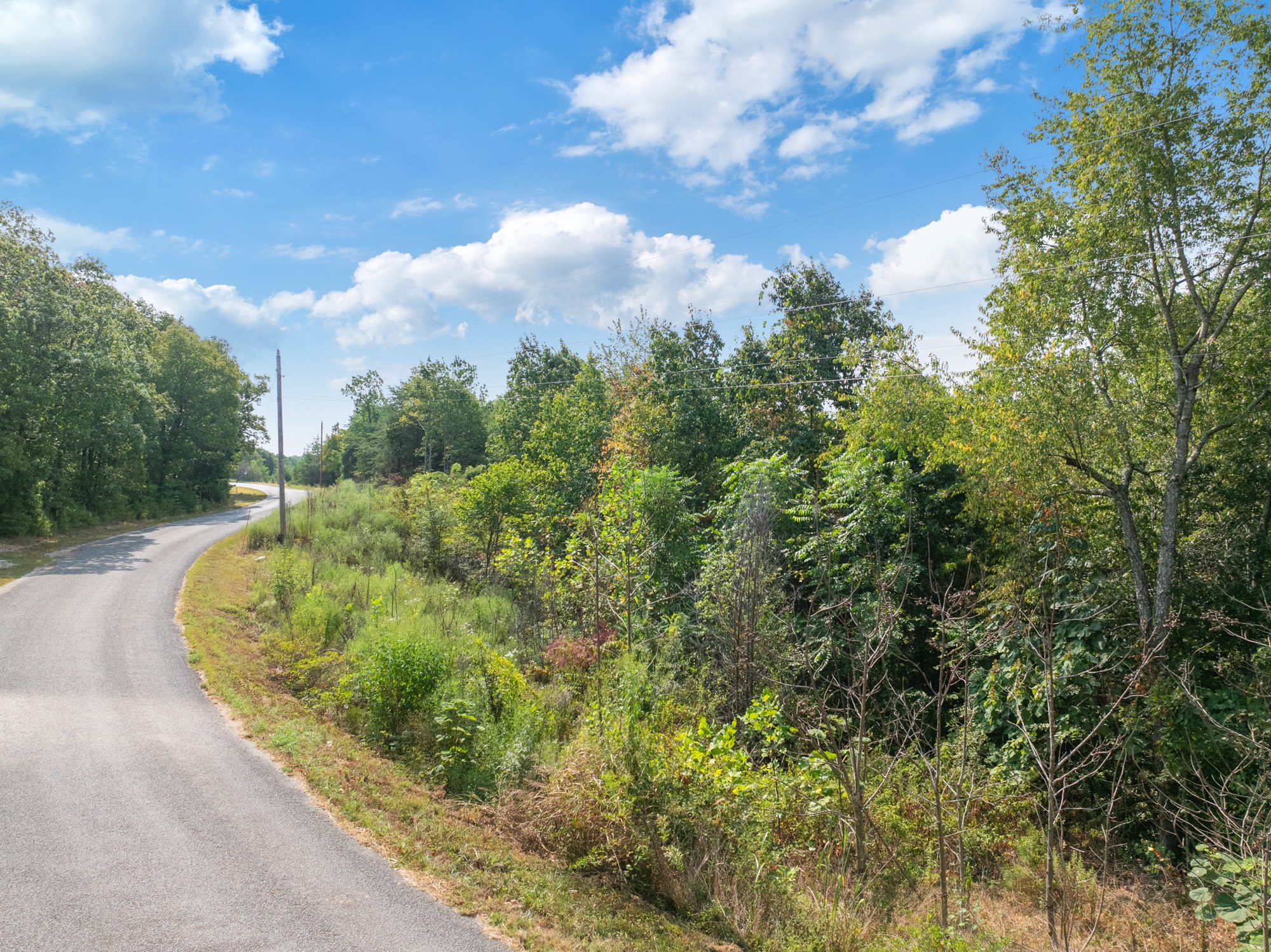 0 New Era Ridge Road Linden, TN 37096 - Photo 3 of 20 a view of a swimming pool with a yard