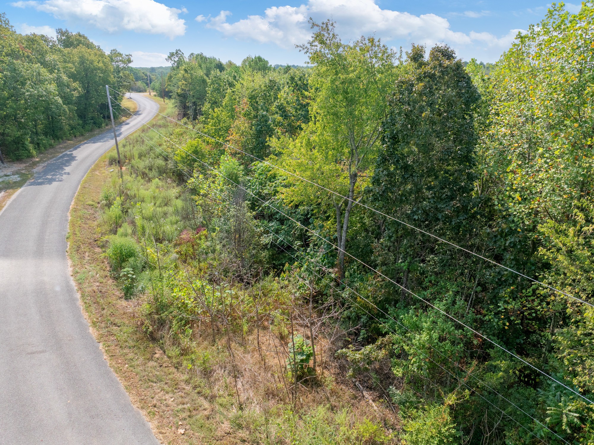 0 New Era Ridge Road Linden, TN 37096 - Photo 4 of 20 an aerial view of a house with a yard and trees