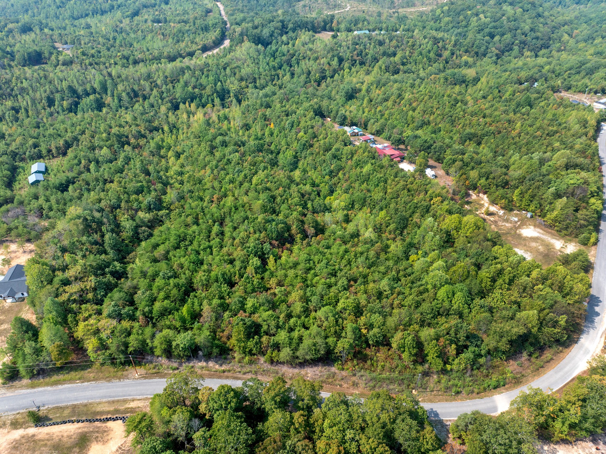 0 New Era Ridge Road Linden, TN 37096 - Photo 6 of 20 a view of a lush green forest