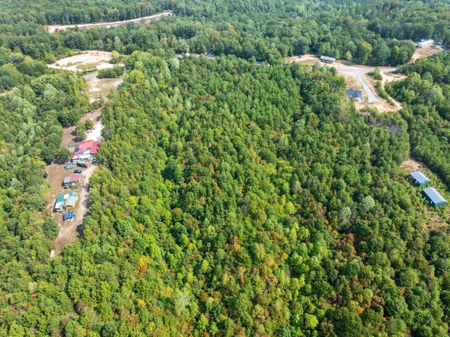 a view of a yard with plants and wooden fence